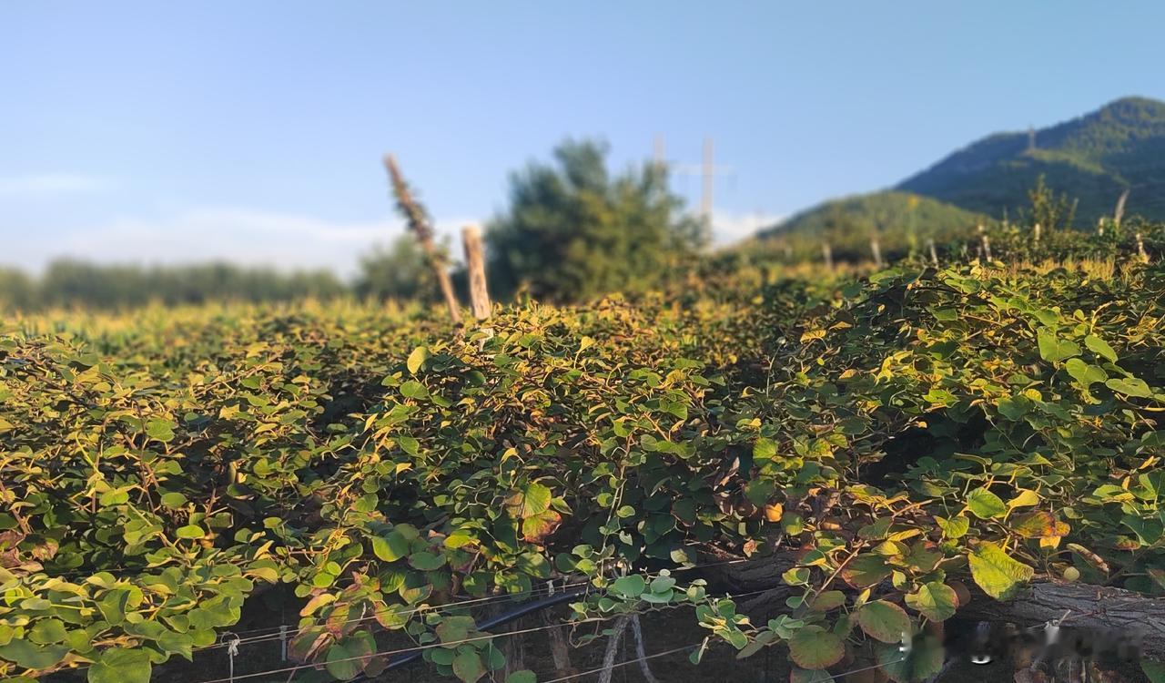 流动性持续宽松！8月6日财经早报｜昨夜今晨重磅汇总
 
央行持续大放水、A股放量