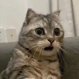 京东联手深蓝再推国民好车京东与深蓝合作将推出L06增程版东子你又在我们不知道的地