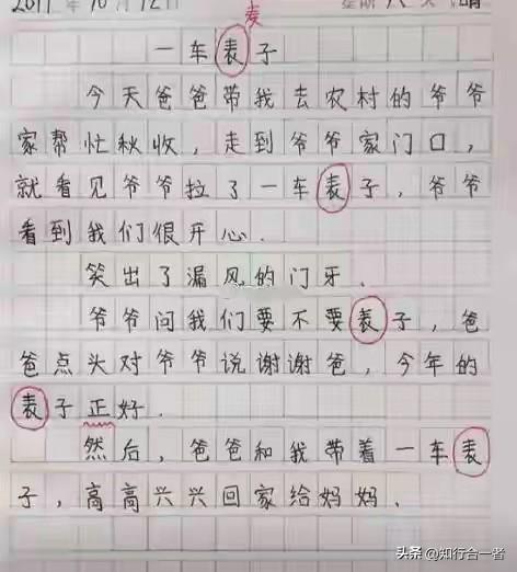 小朋友写了一篇关于收表子的作文。