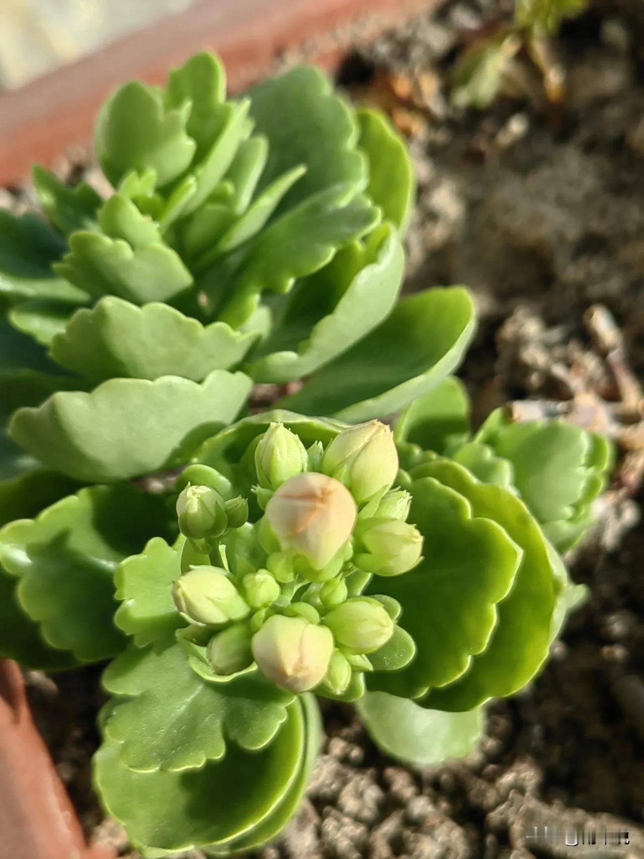 别总跟着别人的观点跑，深度思考才是你自己的“定海神针”。
 
刷到爆款就跟风，看