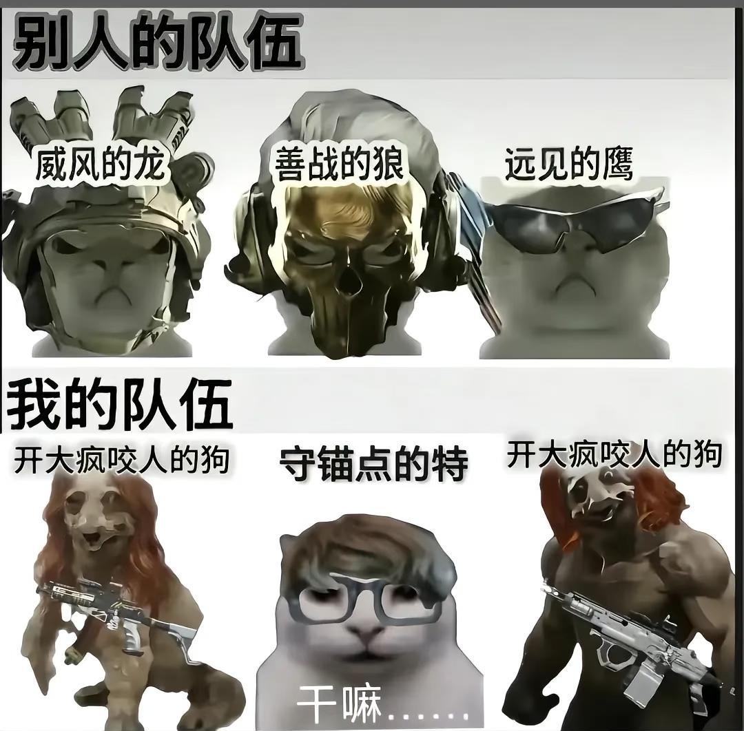 猛攻吗兄弟？
三角洲行动 梗图 三角洲 三角洲鼠鼠 三角洲跑刀