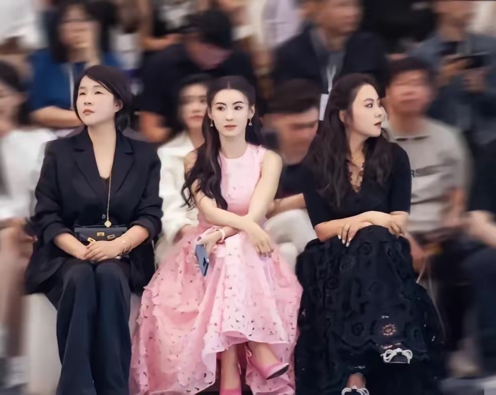 这应该就是香港第一美女了吧，气质这一块真的是很好，和一群美女合影，仍然是最美丽的