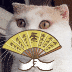 肖战粉丝们最近家里的洗衣液省着点用。