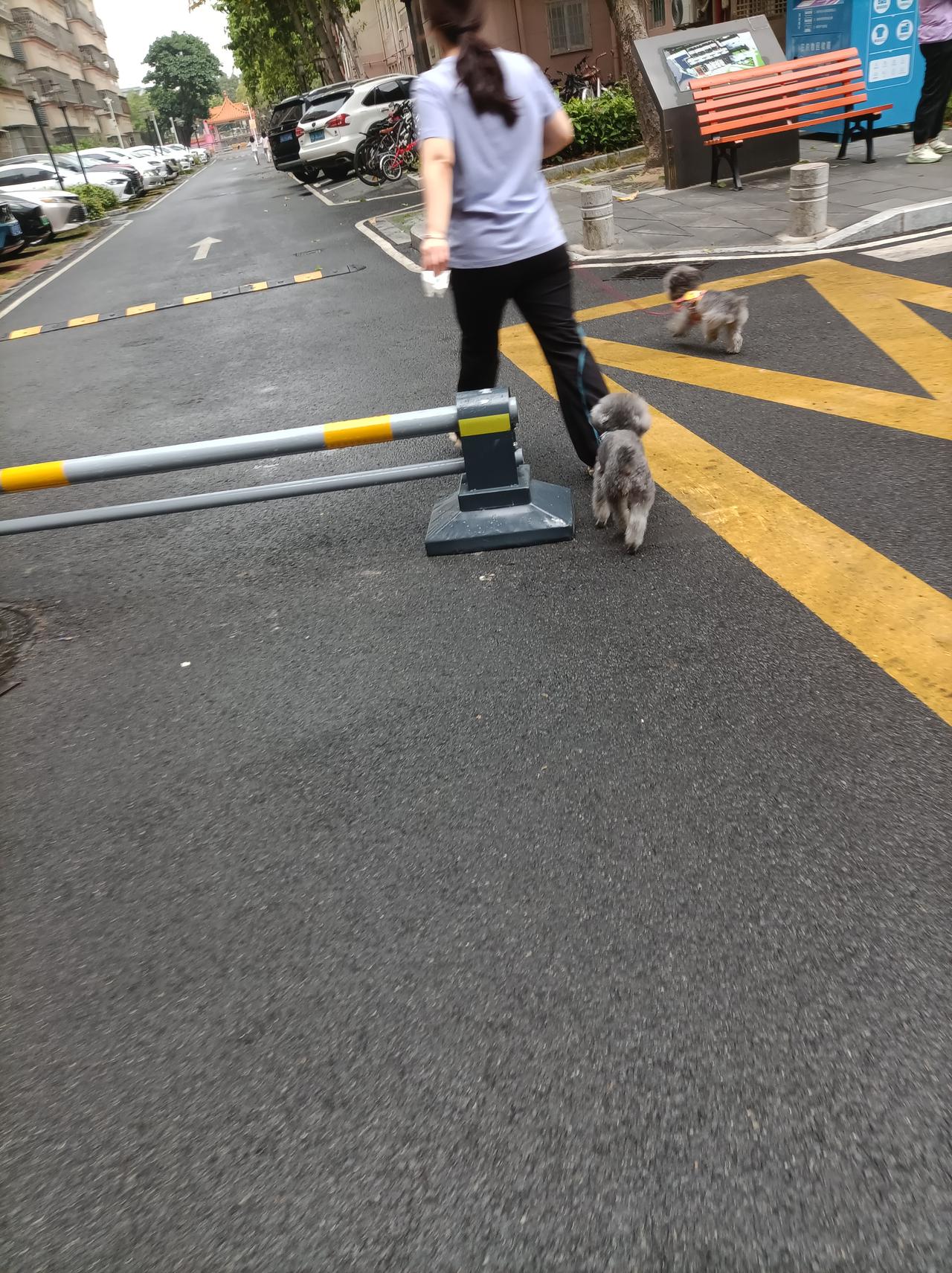 随手拍张照今日小区有什么活动，搭了红帐篷，去看看是什么活动，也有人那里问，但帐篷