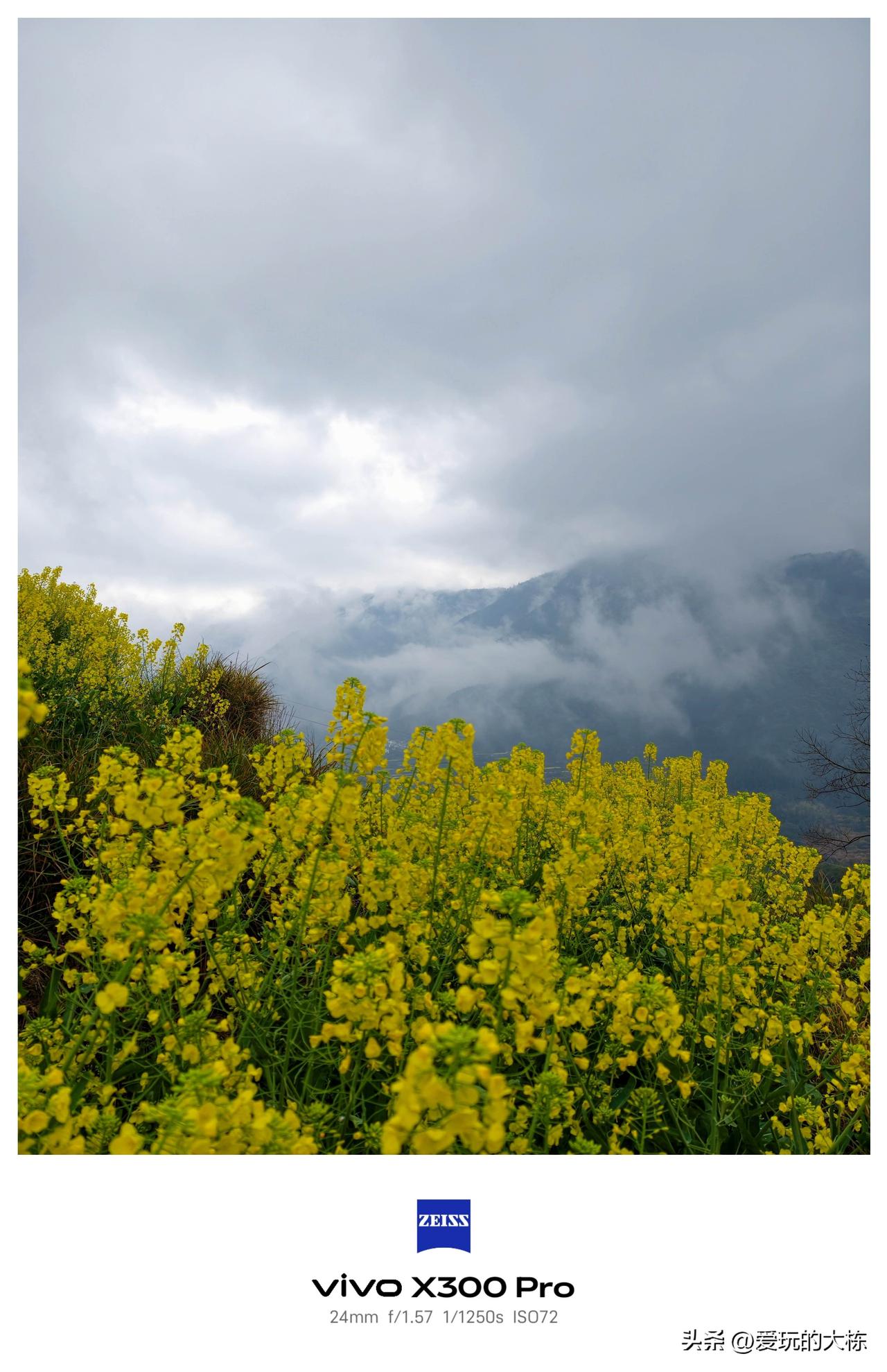 拍一张春天的照片春天聆听山野的寂静，感受松弛的春雨手机摄影