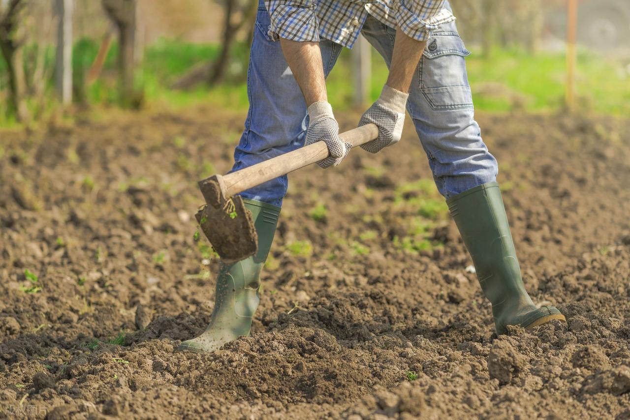 农村50 后60 后大部分人重男轻女思想很重，认为生儿子才是传宗接代，生女儿要嫁