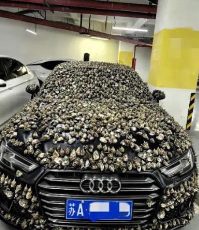 “一分钱不要，也得让你长记性！”业主车位被霸占10天，一怒之下做了这种事。他没有