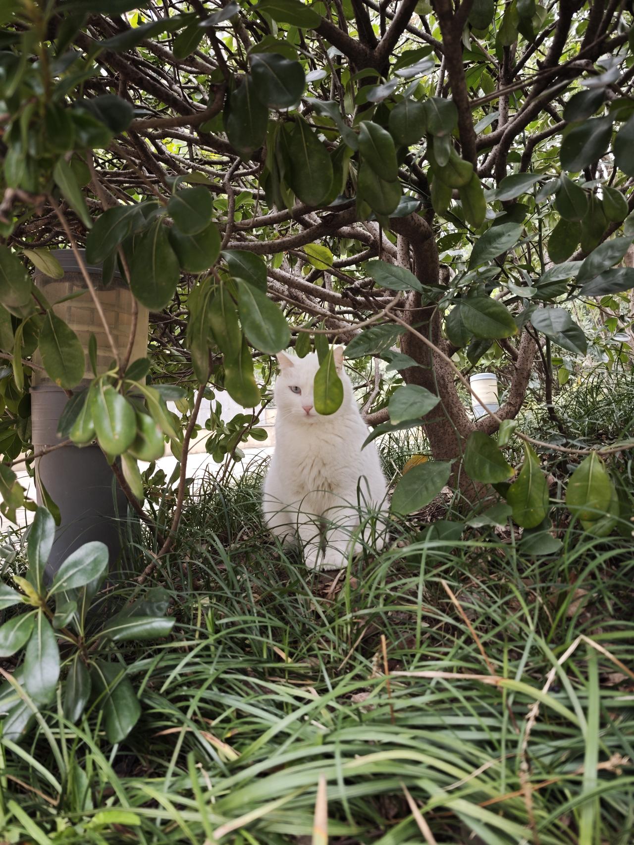 今天是妇女节，我也来怀怀旧。
20多年前，我在军校工作，曾经有那么几年，我是我所