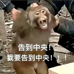 总有颠人膈应我！莫名其妙对我说你这几天不能去拜菩萨，免得菩萨不高兴？一脸懵逼的我