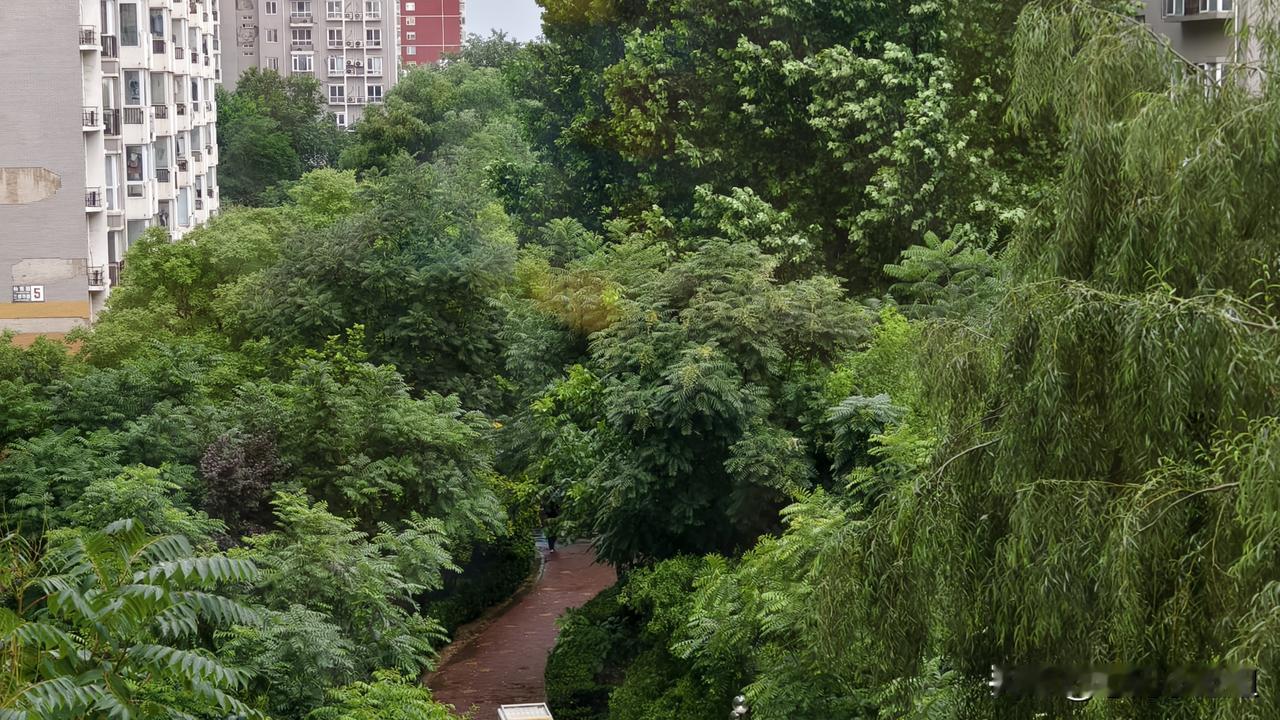 刚才与还算挺大，刮着风。
现在激烈的已经过去了，下着毛毛细雨。不过天还停阴的。