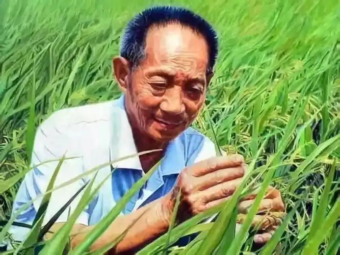 非常现实的一段话：“不要为养老焦虑，常人活不到90岁，顶多80岁。人老没欲望，大