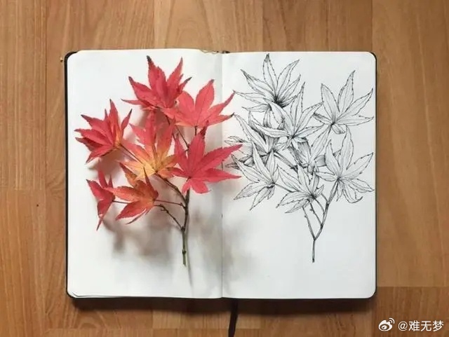 真正喜欢的东西，你很少考虑性价比，如同真正喜欢的人，合不合适当时真的不太在乎。 