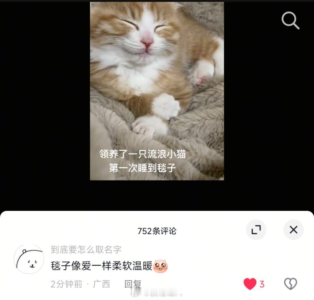 🥺毯子像爱一样柔软温暖 ​​​