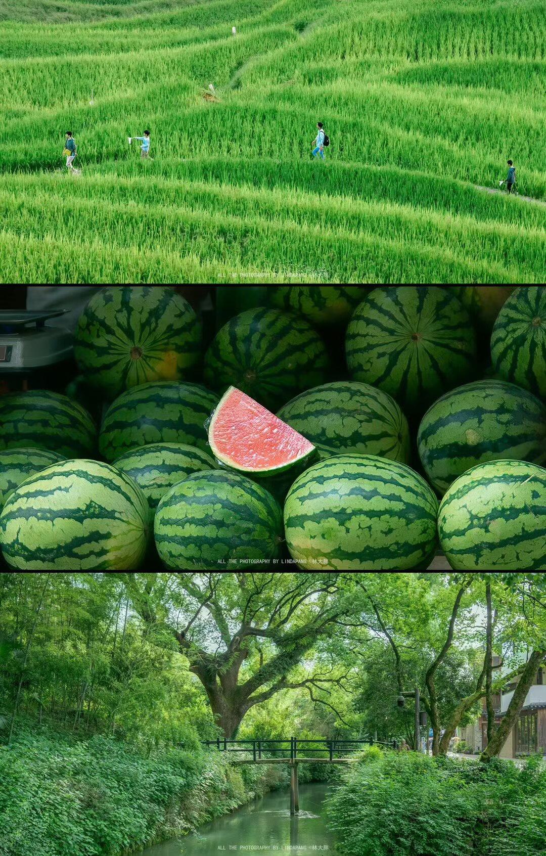 人与人之间，一见如故容易，来日方长却很难，任何关系，经得住时间的洗荡，才是真，耐
