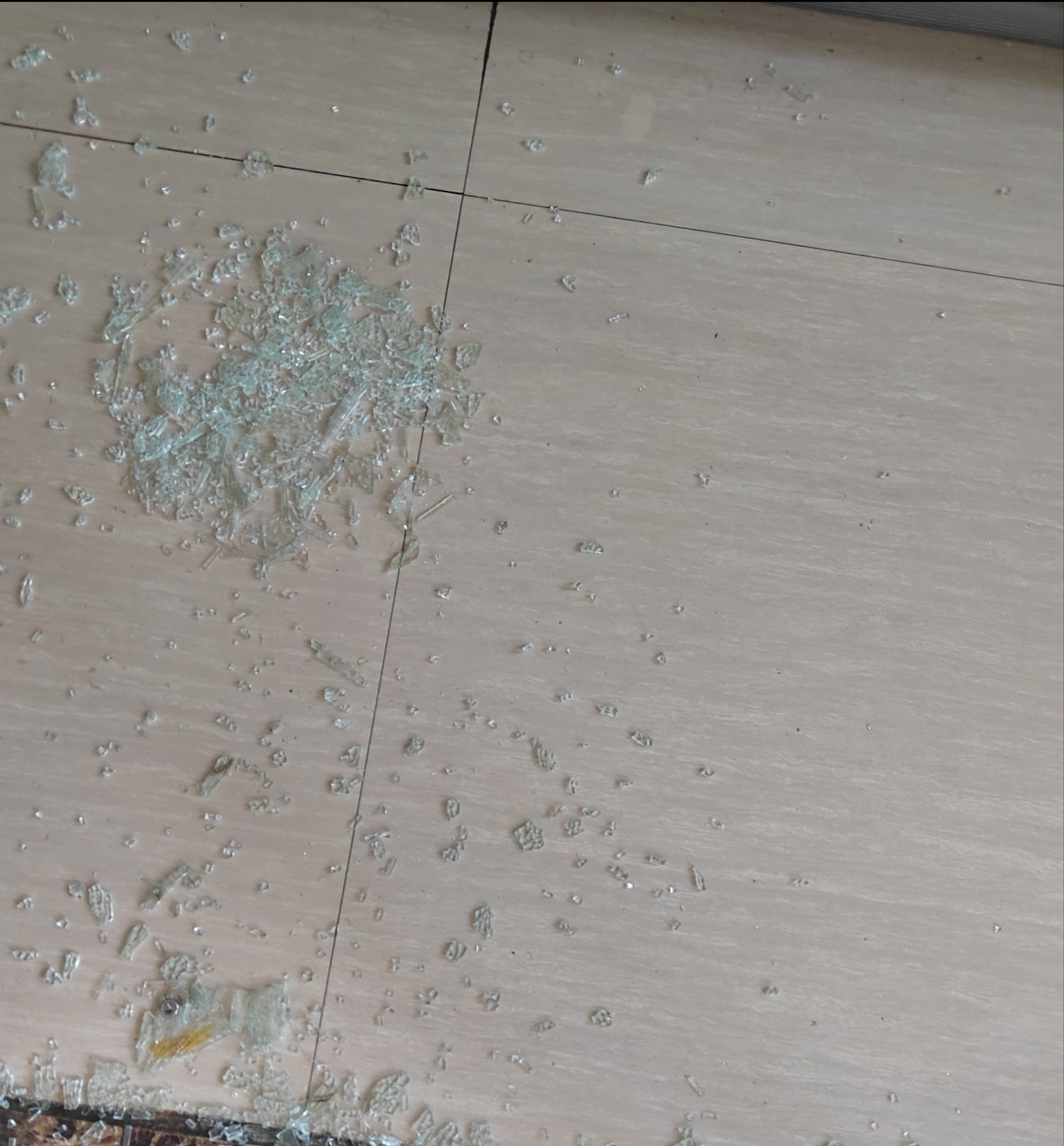 鸡飞狗跳的一上午中午奶奶去接小孩哥放学，我留在家带婴。眼看他们马上就要到家，小家