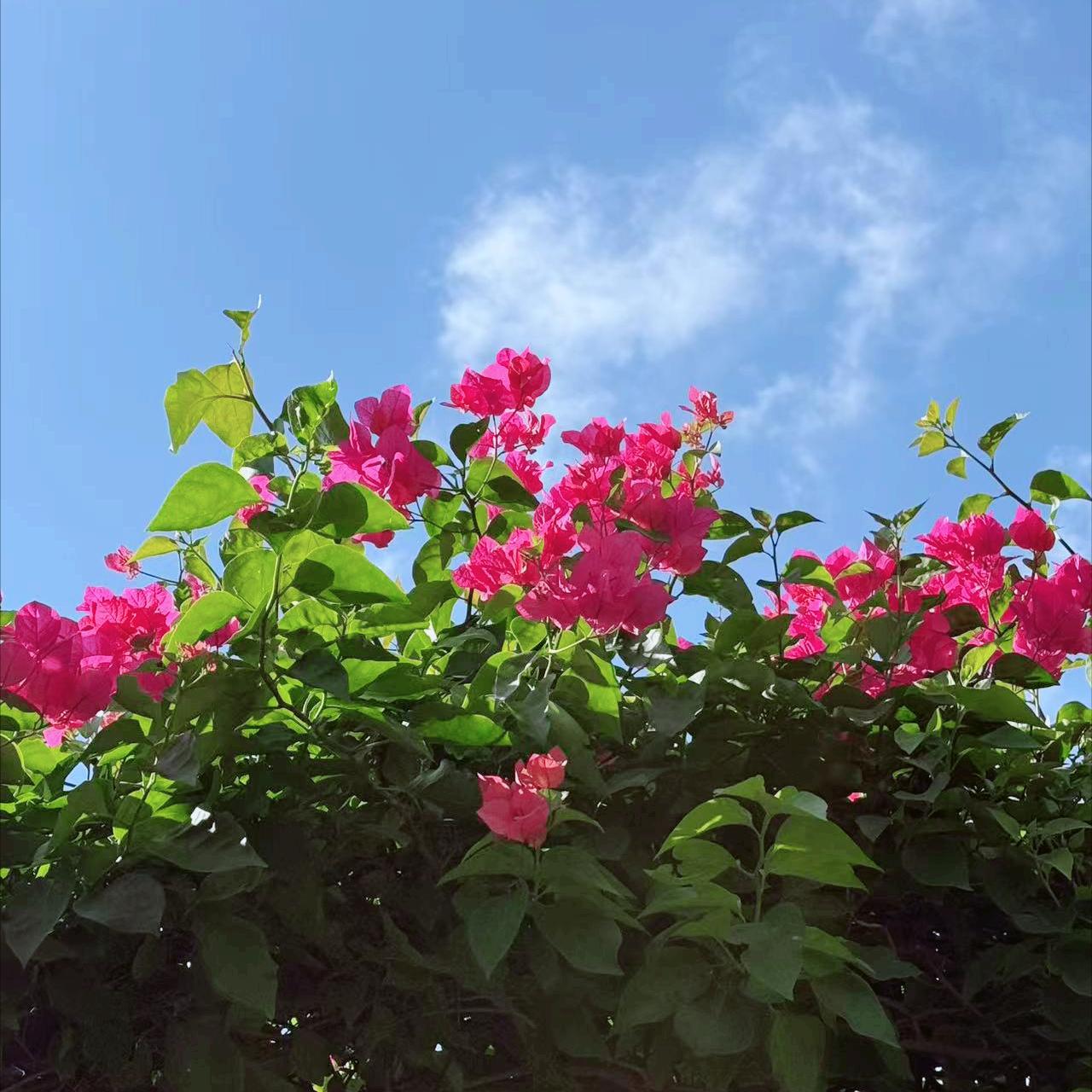 教授级高工祖雷鸣履新
 
12月11日，今年58岁祖雷鸣履新。
 
该同志曾获华