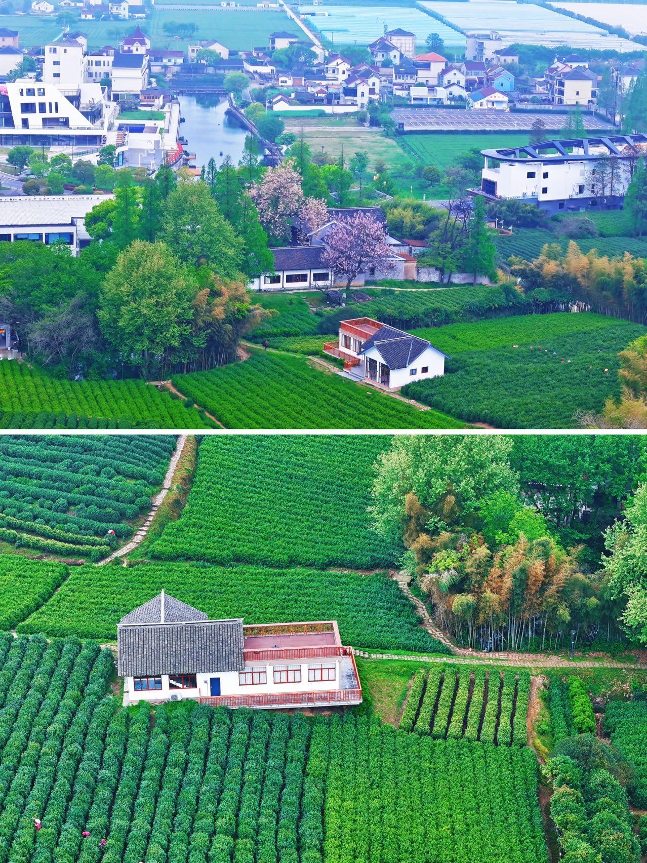 嘉兴翁金线，江浙沪宝藏景观公路：一条串联起平湖、海盐、海宁山海奇观的自驾线。
