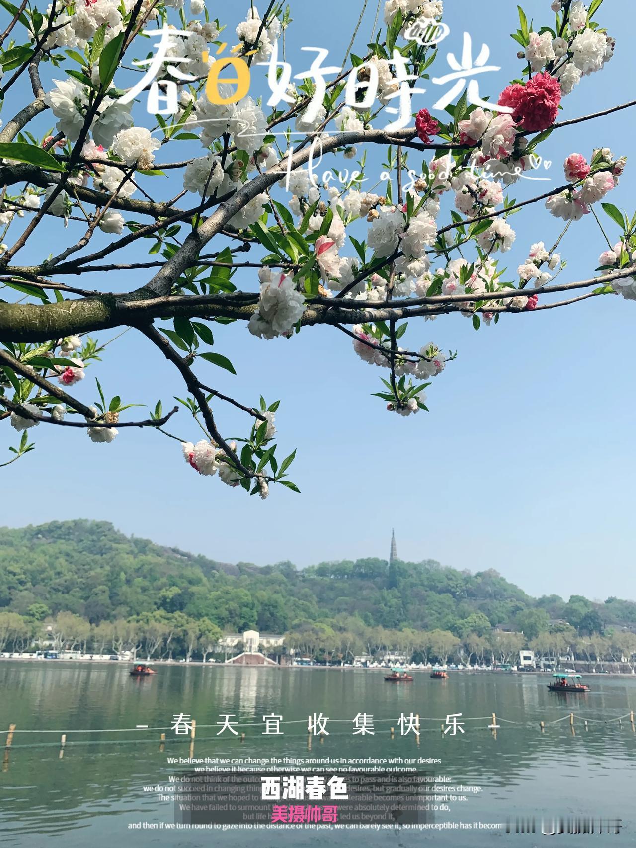 杭州遇上晴天日，“乱花渐欲迷人眼”

来浙江近十天，天天阴雨绵绵，拍摄美景光影不