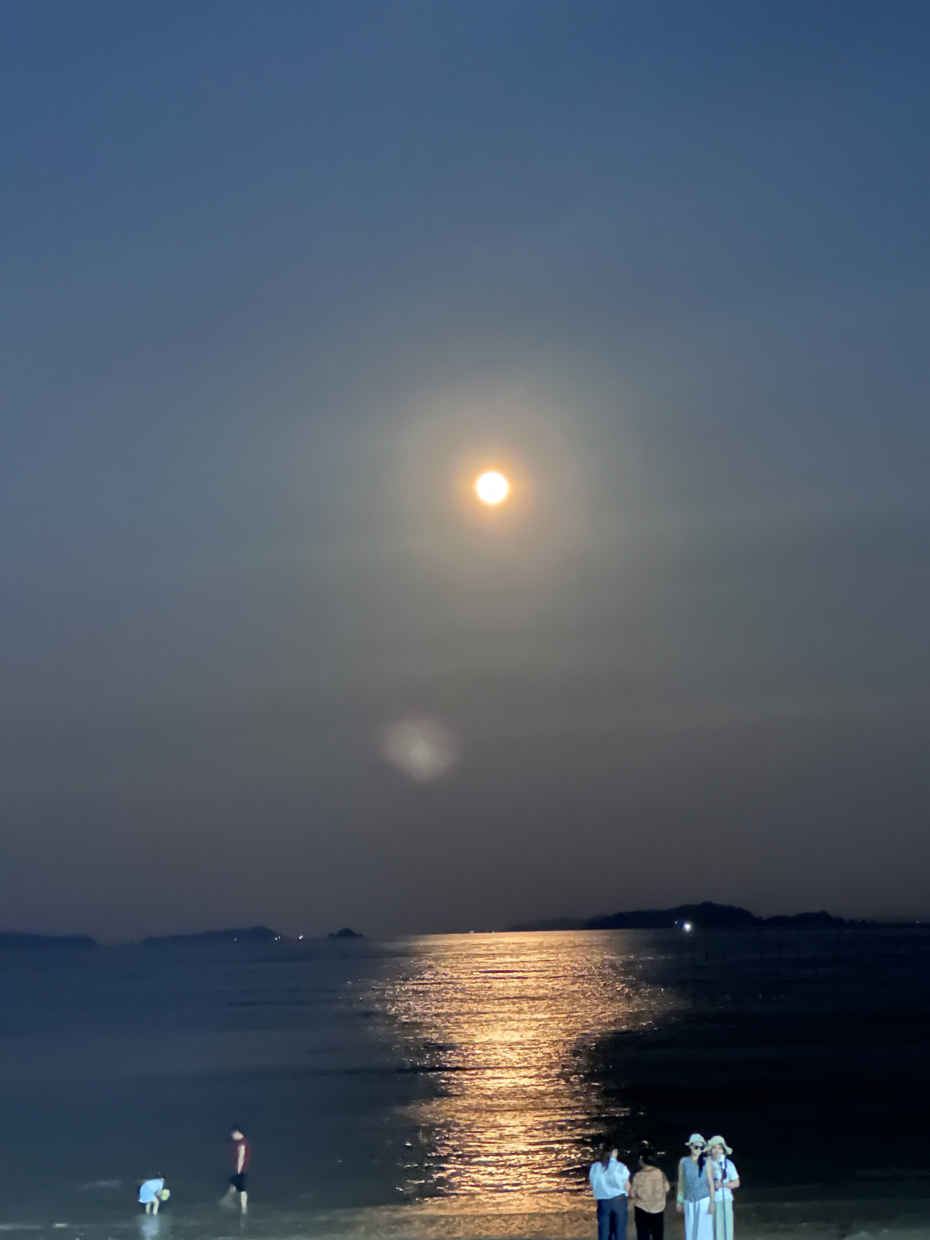 海边的月亮真好看我的观赛搭子 ​​​
