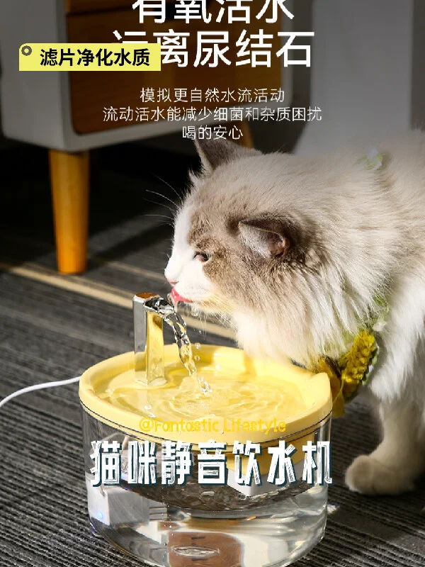 猫咪饮水机🚿必备神器