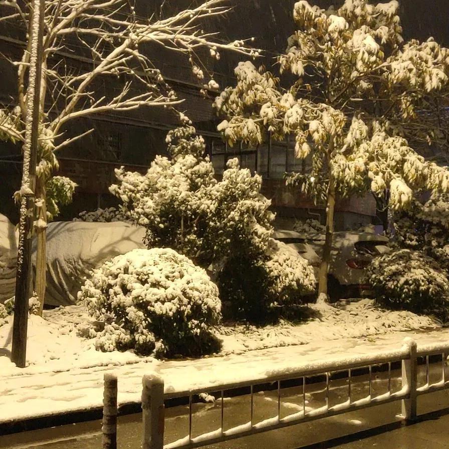 冬日生活打卡季