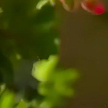 森林驿站阳光‬‬信用‬每日‬一善 能为别人开花的心是善良的心，能为别人缤纷的赞美