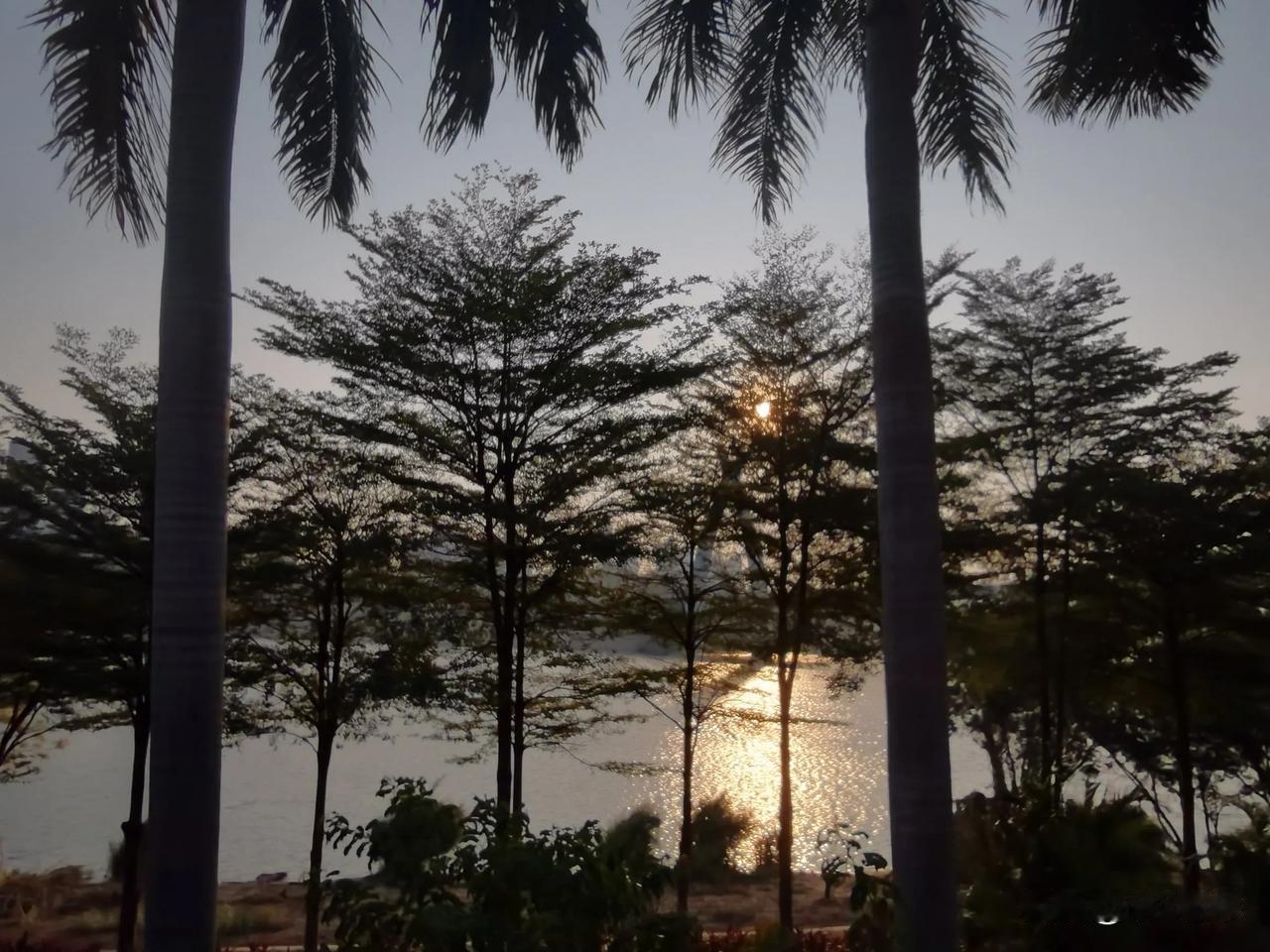 晒图笔记大赛早上的太阳充满希望，给予万物温暖与生机。