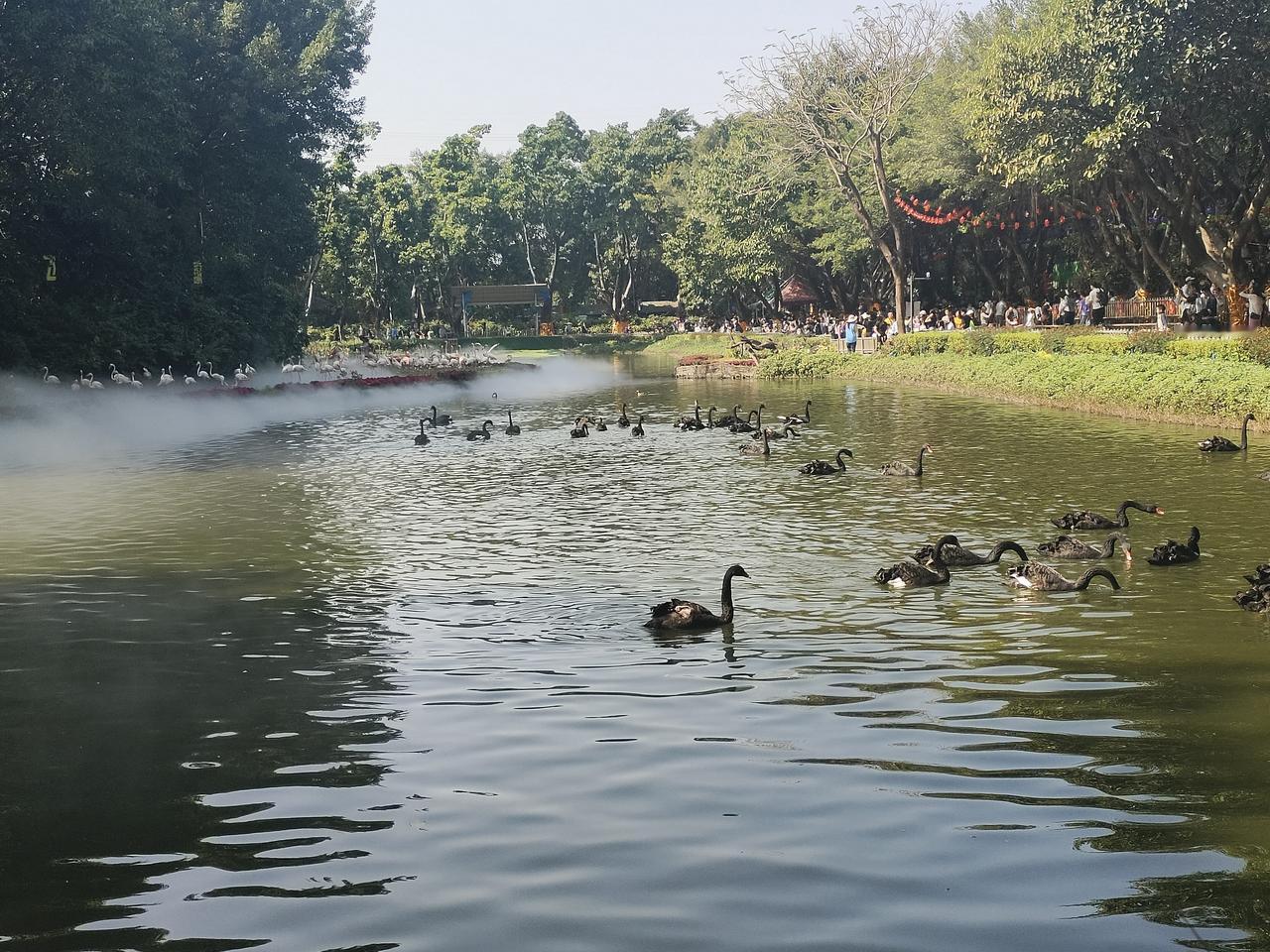 真正的亲人，从来与血缘无关
 
人这一生，最容易被血缘二字困住半生。
 
我们总