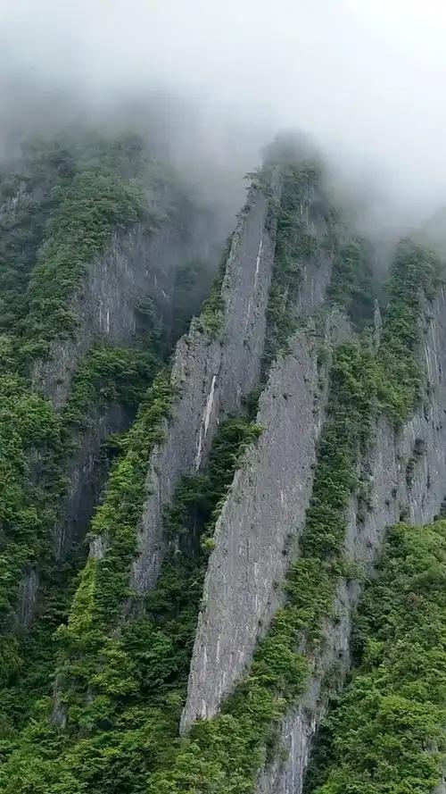 “惯子如杀子”十大行为
特征包括特殊待遇、轻易满足、包办代替、袒护过错等‌，这些