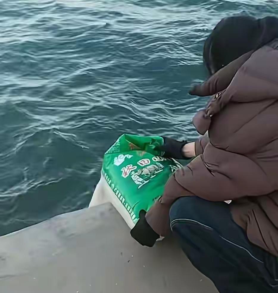 辽宁多人疑往海里放生大米
这场“海上盛宴”，让无数网友看得一头雾水，也引发了广泛