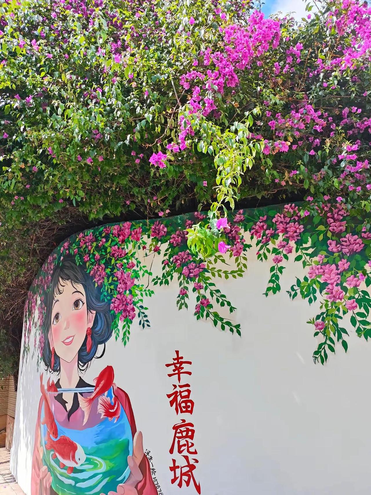 去看盛开的花浪漫花都 楚雄