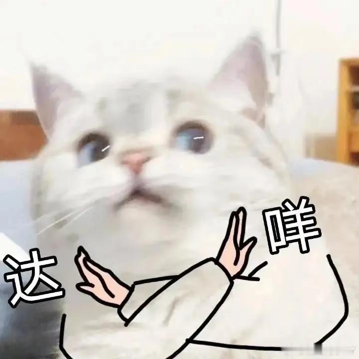 汽车后排座椅放倒当床睡涉嫌违法 虽然现在有很多车都是有把后排座椅放倒当床睡的这个