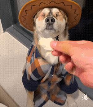 这手越来越多胶布是有原因的！[捂脸]