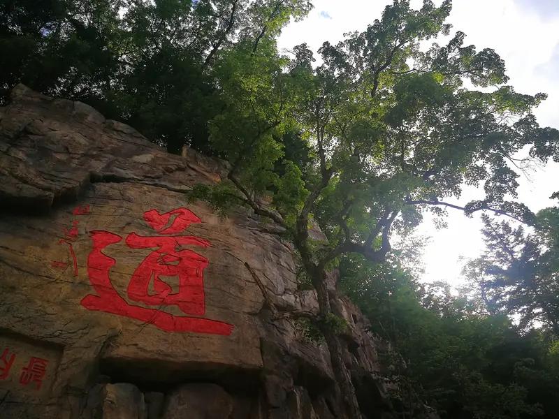 觉醒后，
一定要静下心来，
听从自己内在最真实的声音！

不盲目跟风，
风来只一