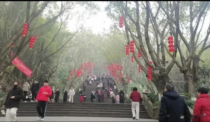 初一登高百病消！
新年登高步步高！
第一次在城里过年，感觉非常的美好。以前每年都