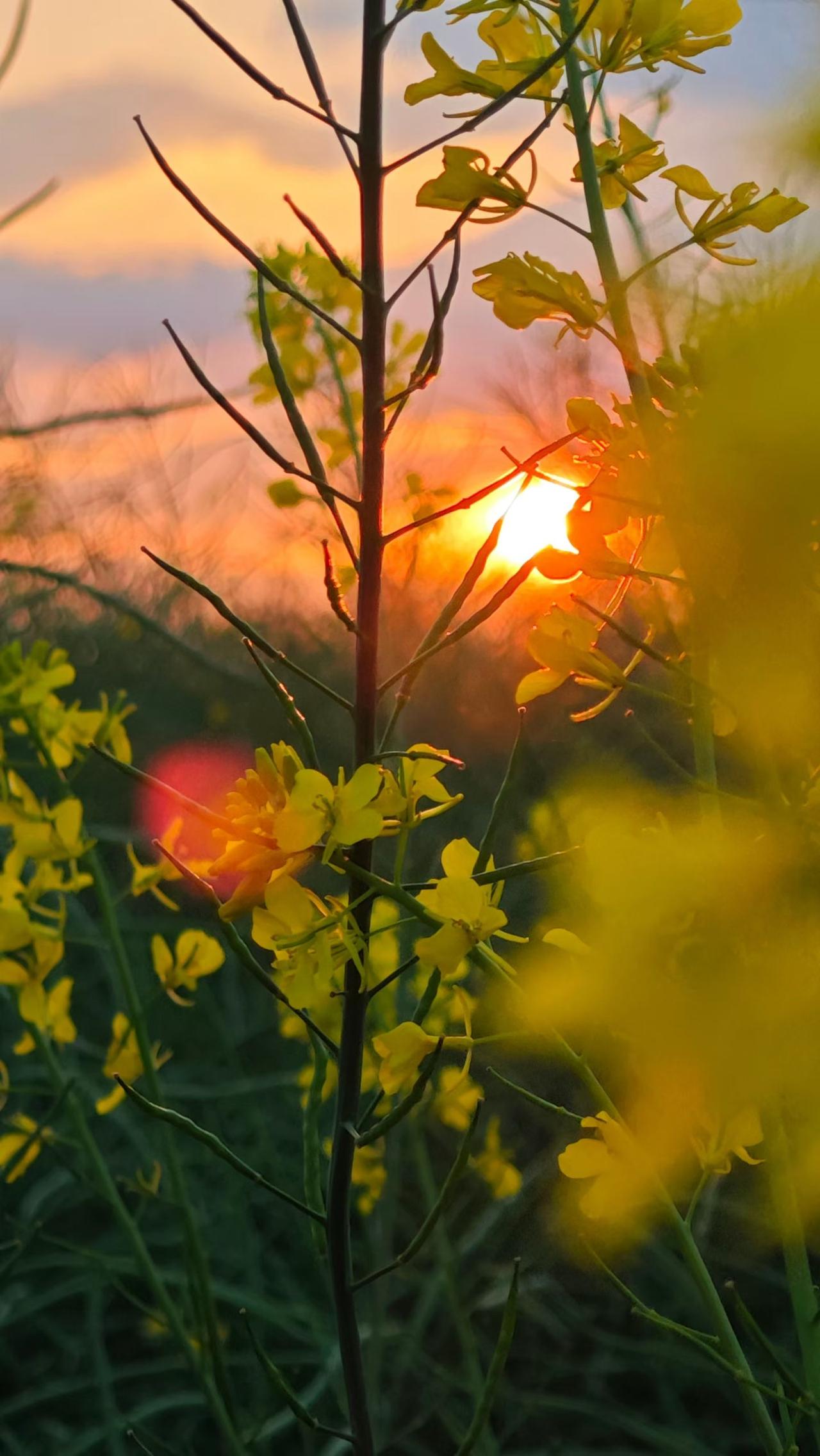 做人做事一定要保存底线价值思维。

什么叫底线价值思维？就是不管什么时候，把你做