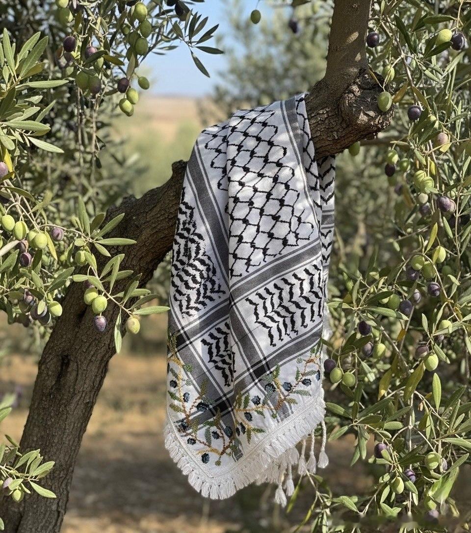 我们是这片土地上的橄榄树。解放巴勒斯坦 🇵🇸✊🏼🇵🇸♥️解放巴勒斯坦热