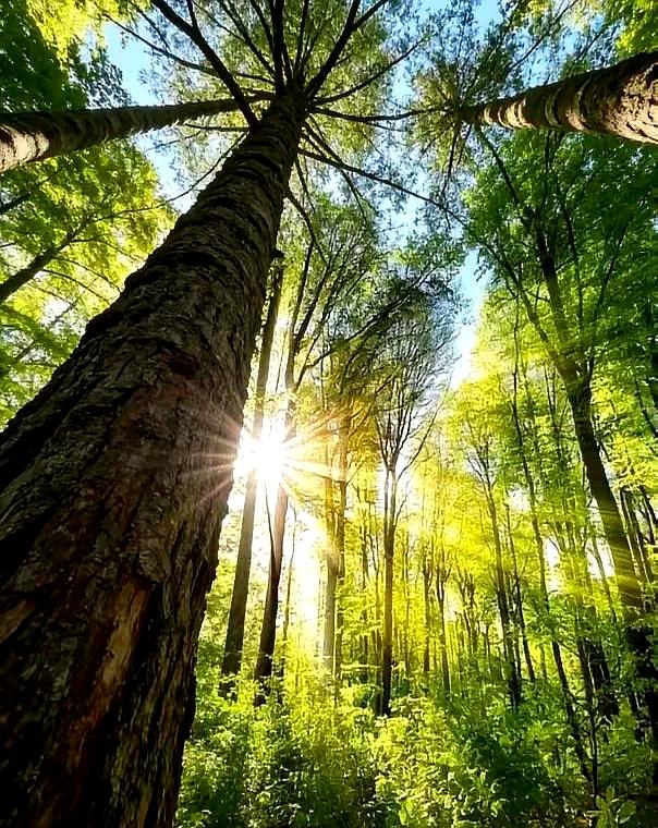 男人丢人不是穷，是把骨头丢了。
夜里拎菜回到老小区，烟便宜、衣旧、路边摊凑一口、
