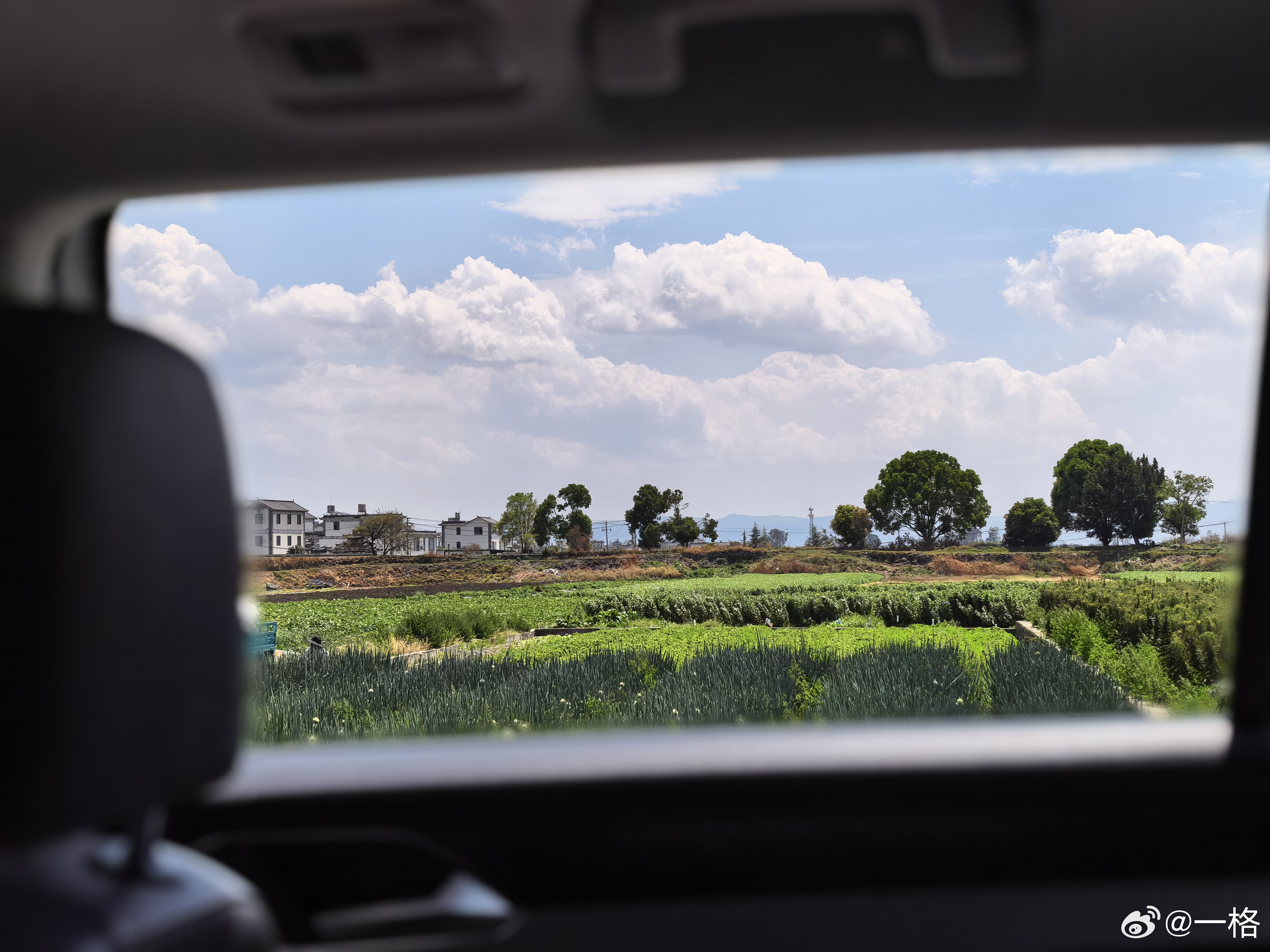 到大理订的民宿了，感觉头晕乎乎的😵问了海拔也不高啊，不能是高反吧... 大理·