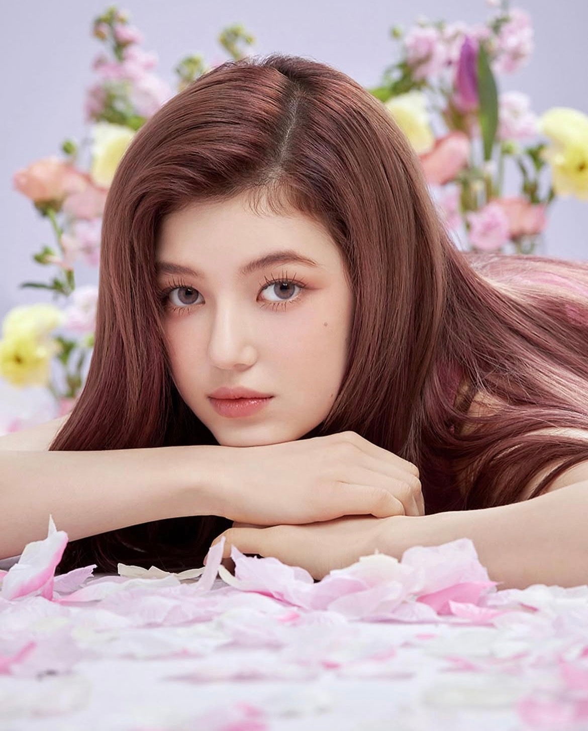 🌸 ​​​