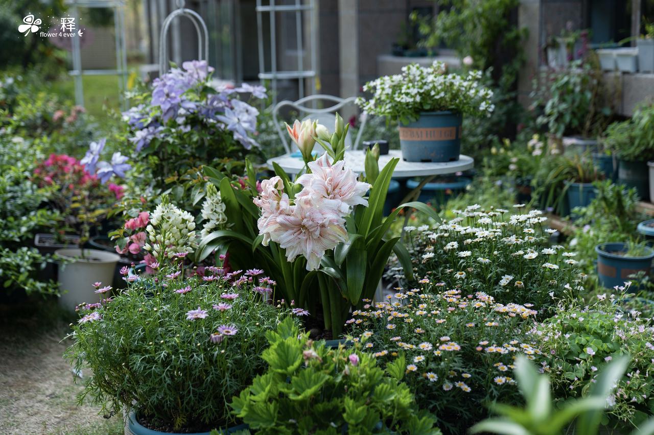 福州最美居住区
今天无意间看见开发商的标语，福州最美居住区。我先是愣了一下，这不