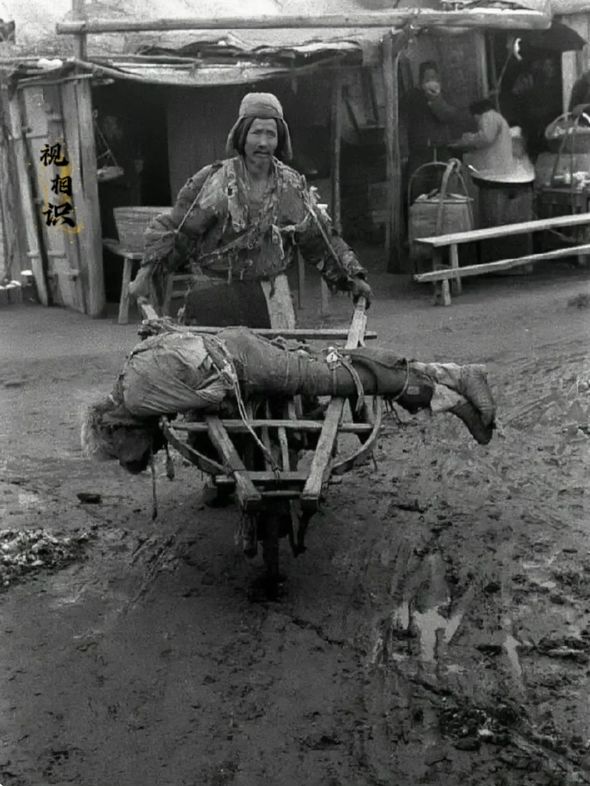 1942年，河南，一位老人正推着自己饿死的亲人准备埋葬，镜头中可以看到他满面愁容...