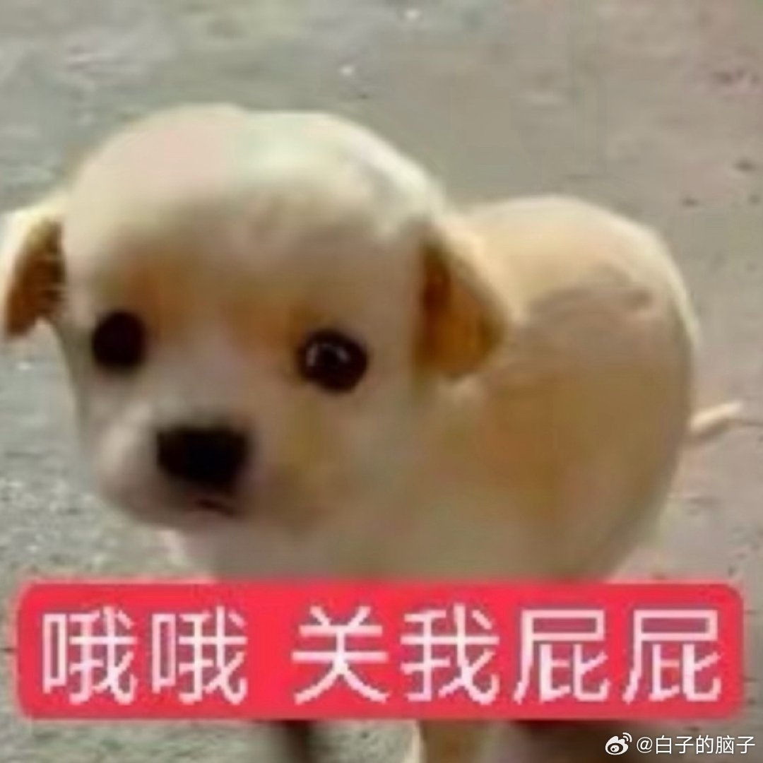 老子是拉拉 媚哪门子的男女的咋干啥都媚男啊 注意力放自己身上行不行男的咋想关我毛