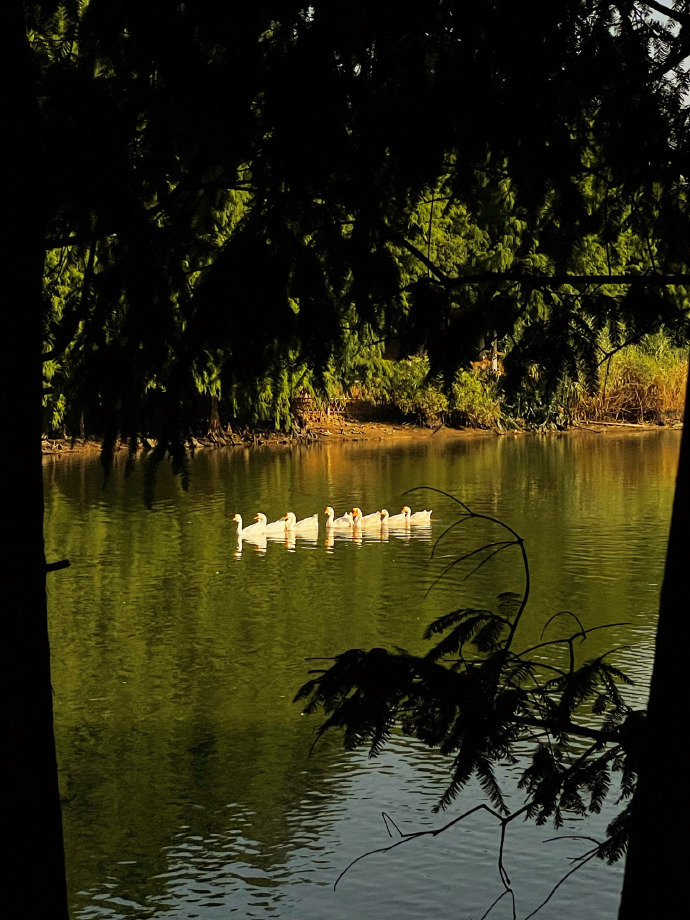 只要不关注任何人的动态，不揣测任何人的想法，不去设想一些没发生的事情，简单点，顿