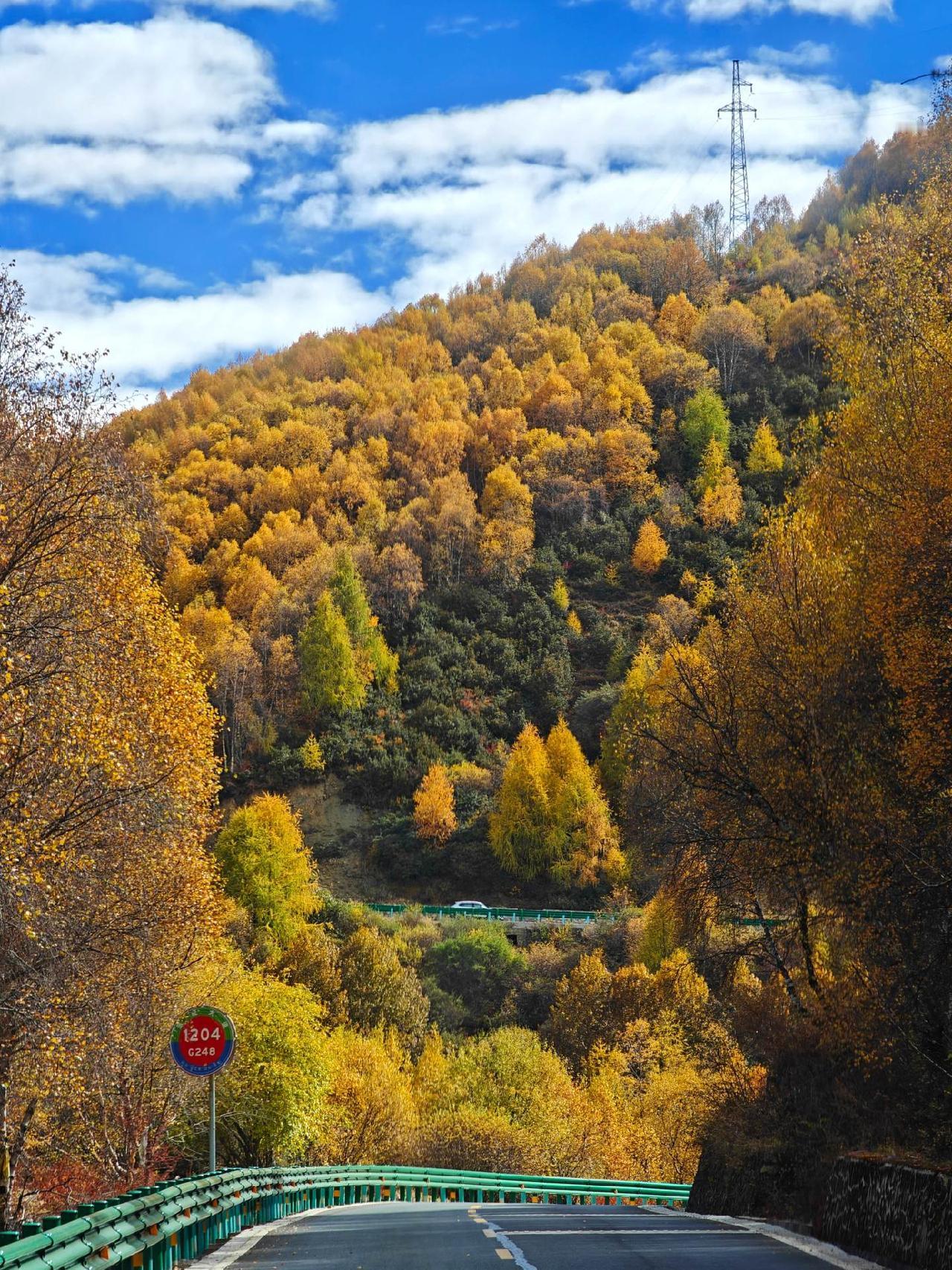 接待了一位来自南京的初三学生家长，他跟我说，他家小朋友其实一点都不笨，只是缺乏上
