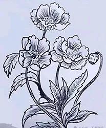 『眼力测试』图中藏有5个人，看出2个的老花眼，能看出4个的还年轻[灵光一闪][来