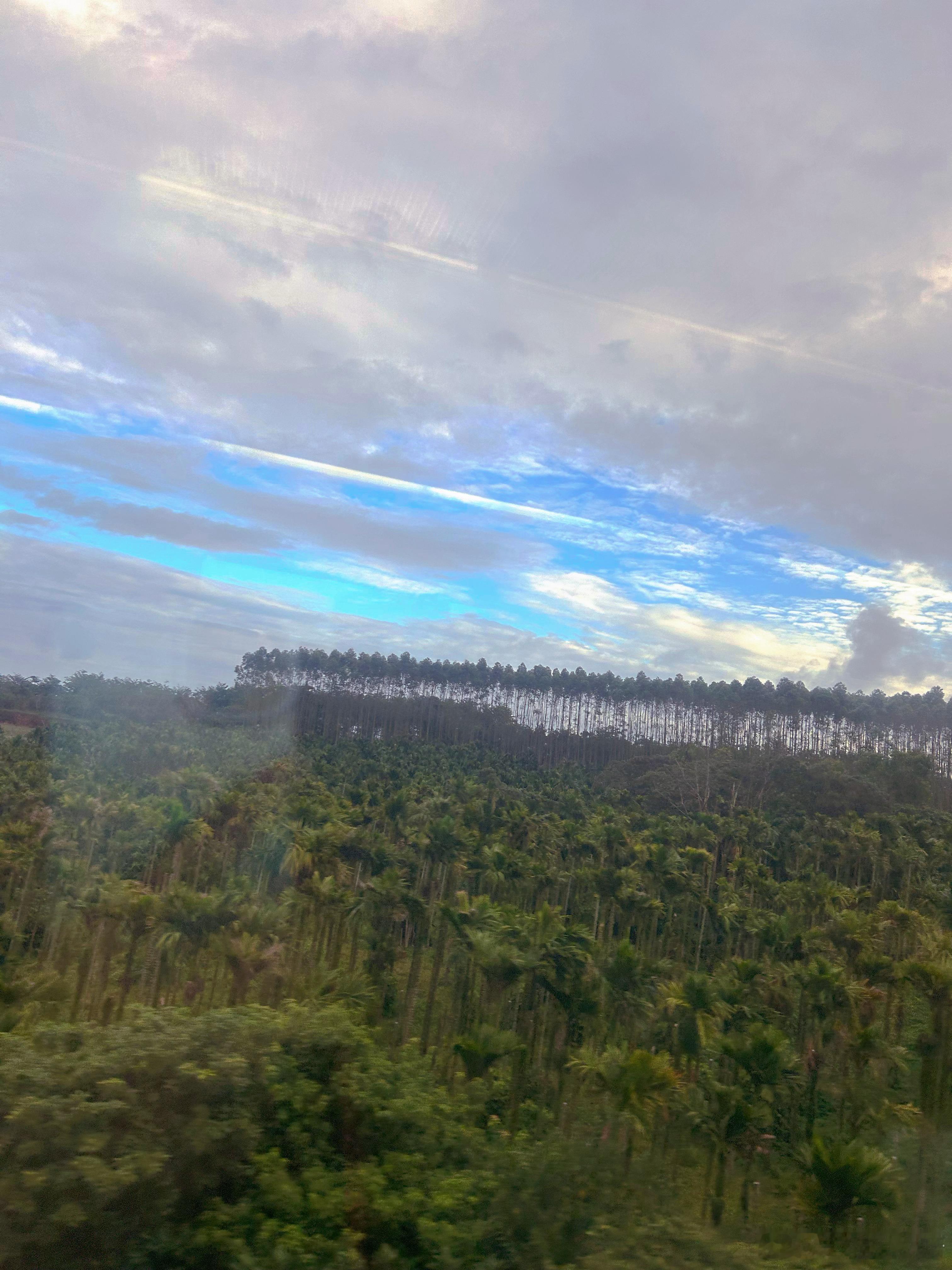 我是放了个拖拉机在嘴里吧，这牌子一如既往的声音大震动大 三亚