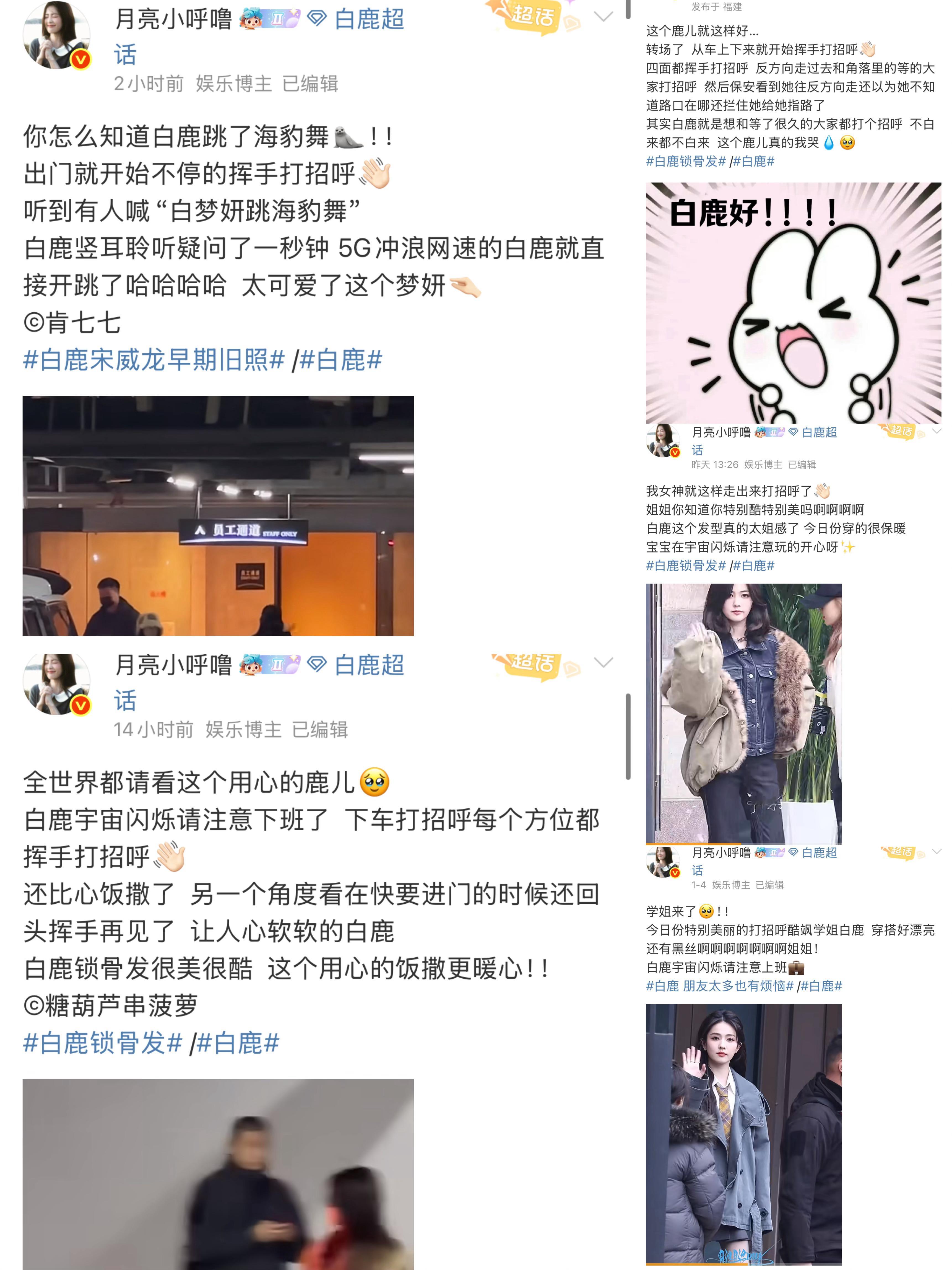 这次白鹿宇宙闪烁请注意综艺录制去当飞行嘉宾  本人在各个平台也看的很爽🤗✅特别