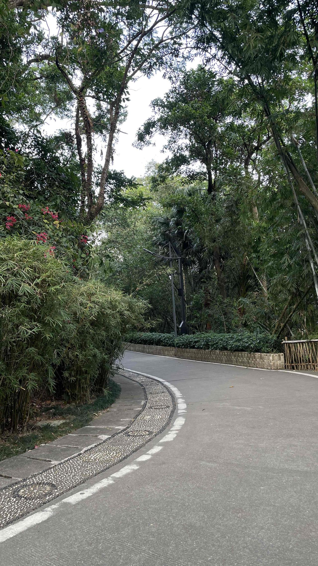 马来西亚一房东出租房子，印度家庭出高价想要租房，他以2000马来币挂出去，然后有