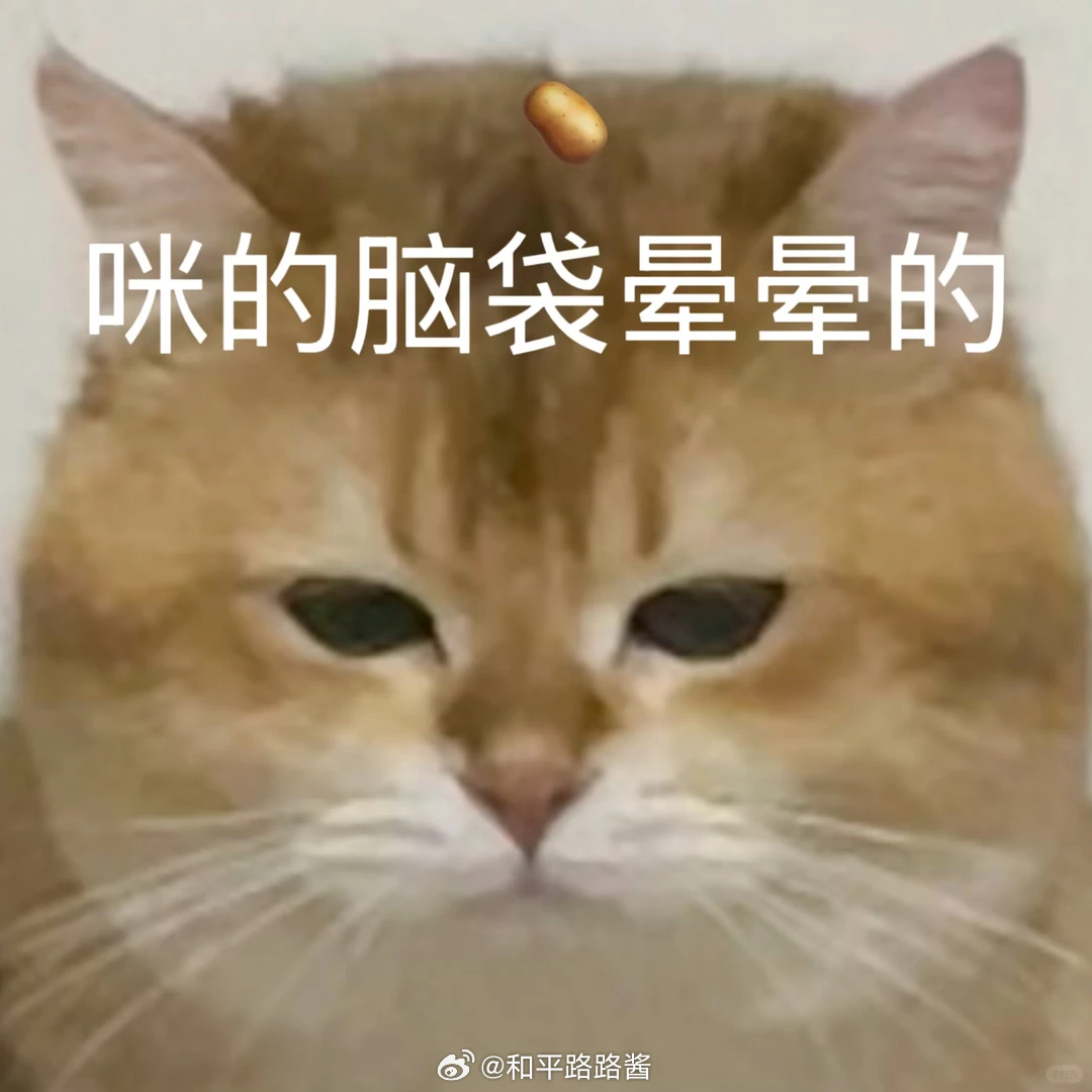 高会  有没有人解释一下什么是高会？高级会计师？还是高级峰会？ 